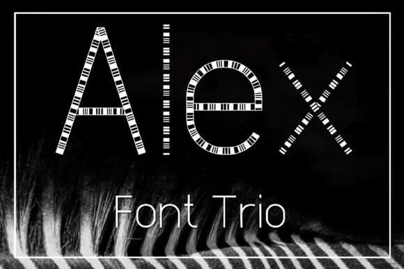 Alex Display Font for Modern Web Design